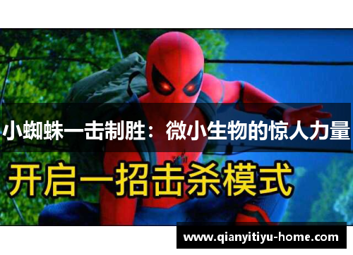 小蜘蛛一击制胜：微小生物的惊人力量