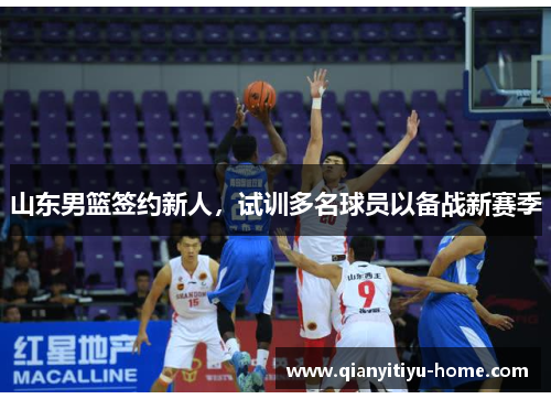 山东男篮签约新人，试训多名球员以备战新赛季