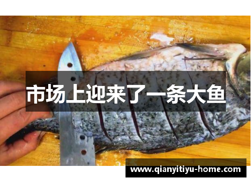 市场上迎来了一条大鱼 市场上迎来了一条大鱼